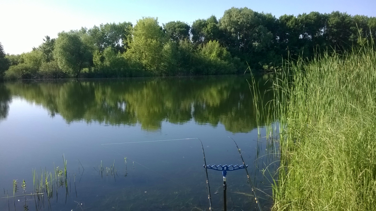 Правильное содержание водоемов